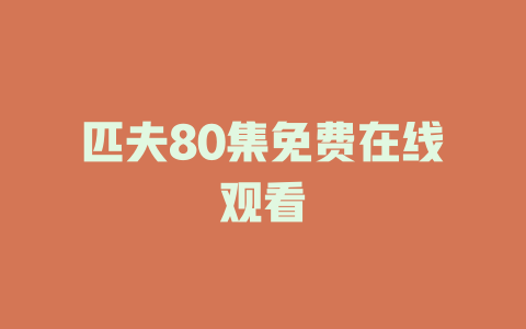 匹夫80集免费在线观看