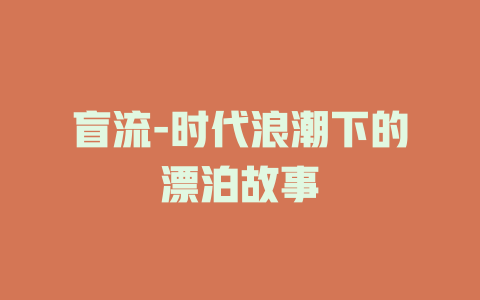 盲流-时代浪潮下的漂泊故事