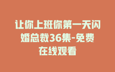 让你上班你第一天闪婚总裁36集-免费在线观看