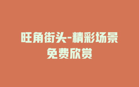 旺角街头-精彩场景免费欣赏