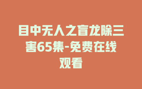 目中无人之盲龙除三害65集-免费在线观看