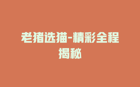 老猪选猫-精彩全程揭秘