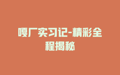 嘎厂实习记-精彩全程揭秘