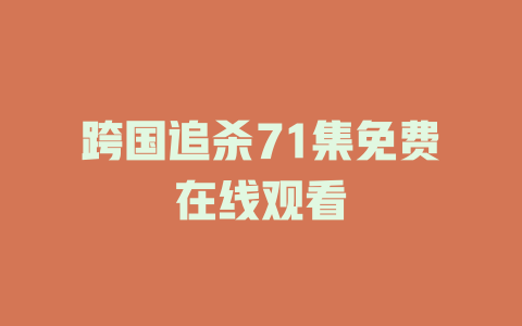 跨国追杀71集免费在线观看