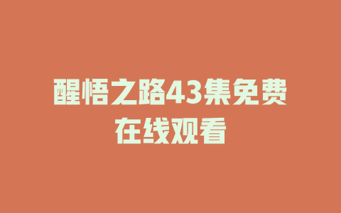醒悟之路43集免费在线观看