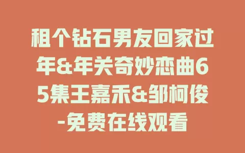 租个钻石男友回家过年&年关奇妙恋曲65集王嘉禾&邹柯俊-免费在线观看