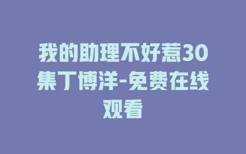 我的助理不好惹30集丁博洋-免费在线观看