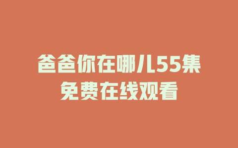 爸爸你在哪儿55集免费在线观看