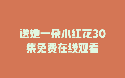 送她一朵小红花30集免费在线观看