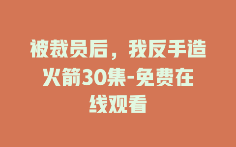 被裁员后，我反手造火箭30集-免费在线观看