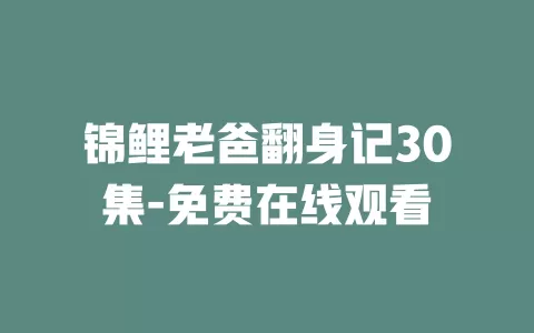 锦鲤老爸翻身记30集-免费在线观看
