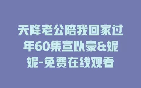 天降老公陪我回家过年60集宣以豪&妮妮-免费在线观看
