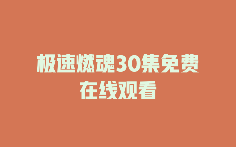 极速燃魂30集免费在线观看