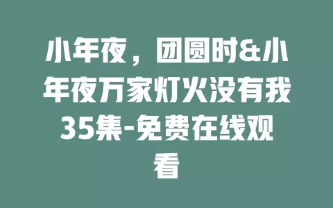 小年夜，团圆时&小年夜万家灯火没有我35集-免费在线观看