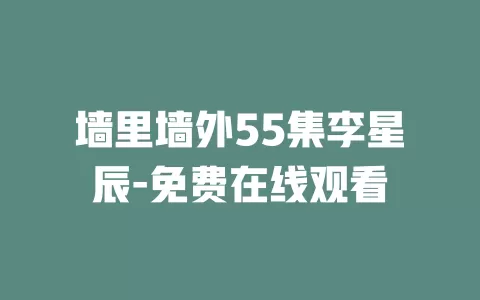 墙里墙外55集李星辰-免费在线观看
