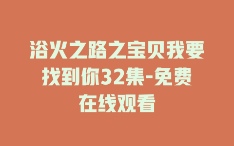 浴火之路之宝贝我要找到你32集-免费在线观看