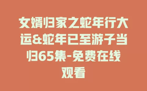 女婿归家之蛇年行大运&蛇年已至游子当归65集-免费在线观看