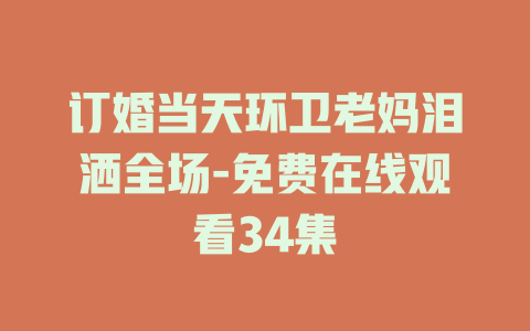 订婚当天环卫老妈泪洒全场-免费在线观看34集