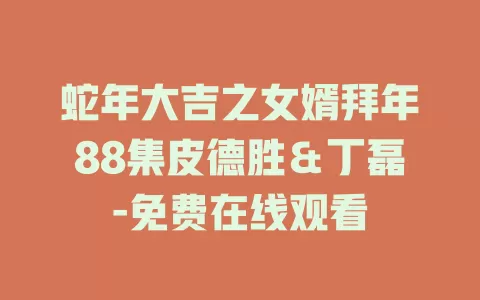 蛇年大吉之女婿拜年88集皮德胜＆丁磊-免费在线观看