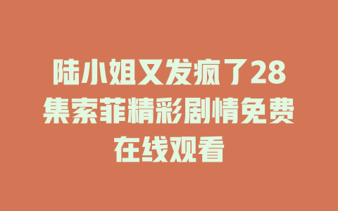 陆小姐又发疯了28集索菲精彩剧情免费在线观看
