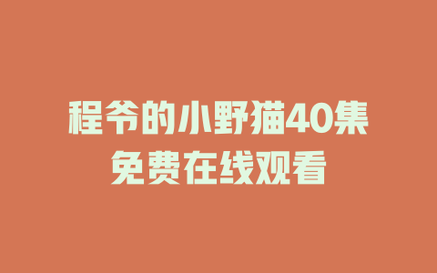 程爷的小野猫40集免费在线观看