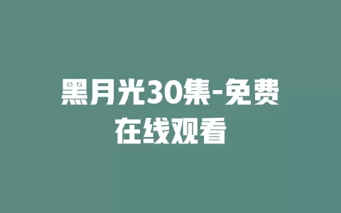 黑月光30集-免费在线观看