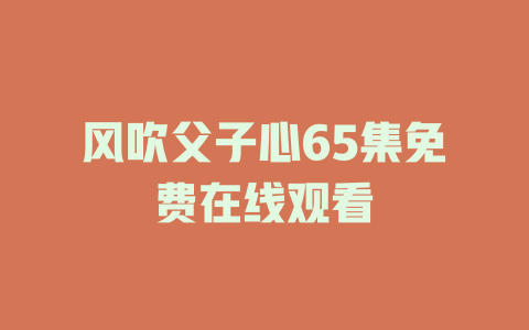 风吹父子心65集免费在线观看
