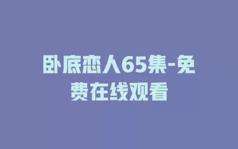 卧底恋人65集-免费在线观看