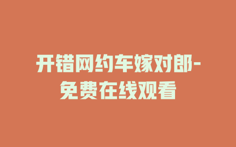 开错网约车嫁对郎-免费在线观看