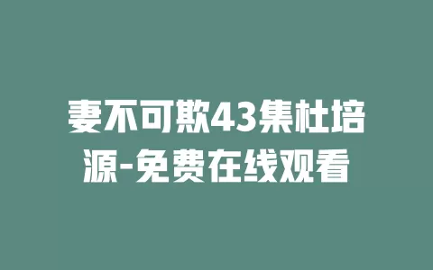 妻不可欺43集杜培源-免费在线观看