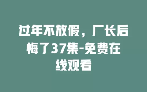 过年不放假，厂长后悔了37集-免费在线观看