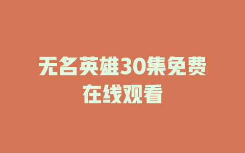 无名英雄30集免费在线观看