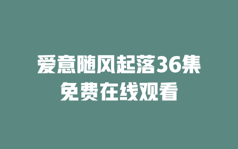 爱意随风起落36集免费在线观看