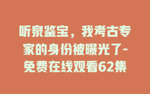 听泉鉴宝，我考古专家的身份被曝光了-免费在线观看62集