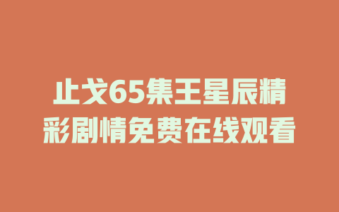止戈65集王星辰精彩剧情免费在线观看