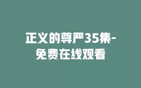 正义的尊严35集-免费在线观看