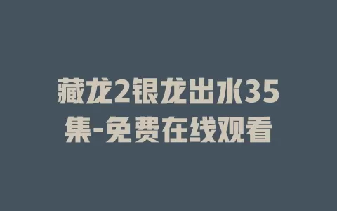 藏龙2银龙出水35集-免费在线观看