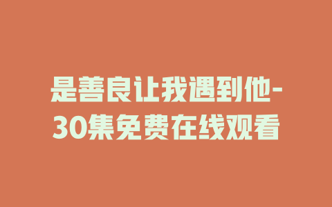 是善良让我遇到他-30集免费在线观看