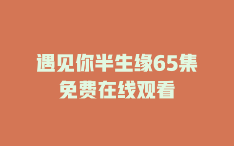 遇见你半生缘65集免费在线观看