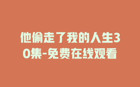 他偷走了我的人生30集-免费在线观看
