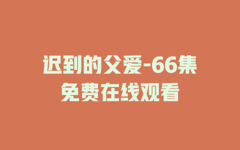 迟到的父爱-66集免费在线观看