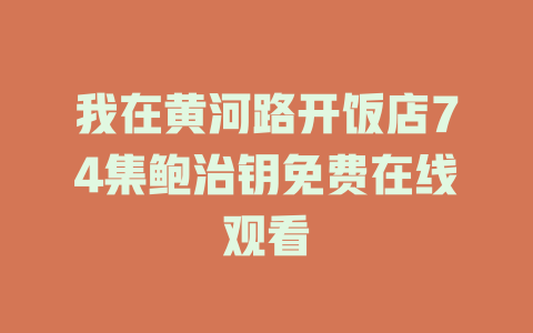 我在黄河路开饭店74集鲍治钥免费在线观看