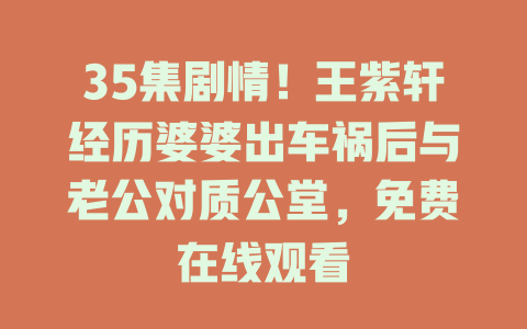 35集剧情！王紫轩经历婆婆出车祸后与老公对质公堂，免费在线观看