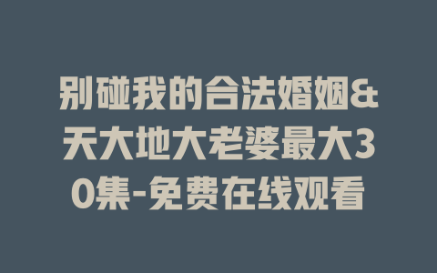 别碰我的合法婚姻&天大地大老婆最大30集-免费在线观看