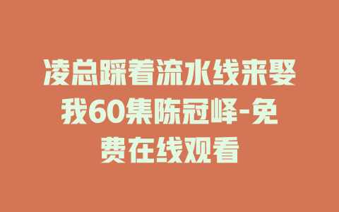 凌总踩着流水线来娶我60集陈冠峄-免费在线观看