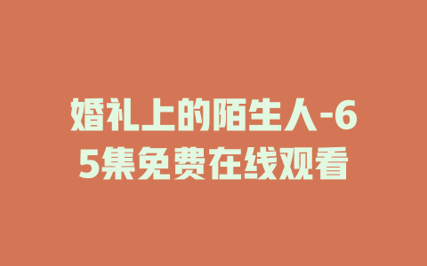 婚礼上的陌生人-65集免费在线观看