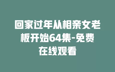 回家过年从相亲女老板开始64集-免费在线观看