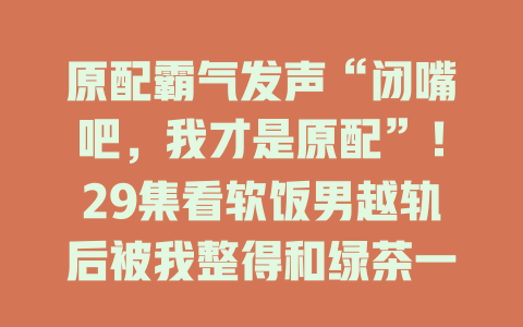原配霸气发声“闭嘴吧，我才是原配”！29集看软饭男越轨后被我整得和绿茶一无所有
