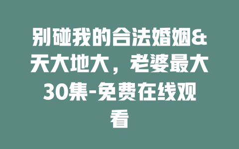 别碰我的合法婚姻&天大地大，老婆最大30集-免费在线观看