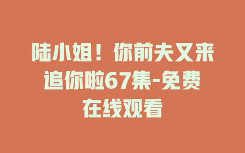 陆小姐！你前夫又来追你啦67集-免费在线观看